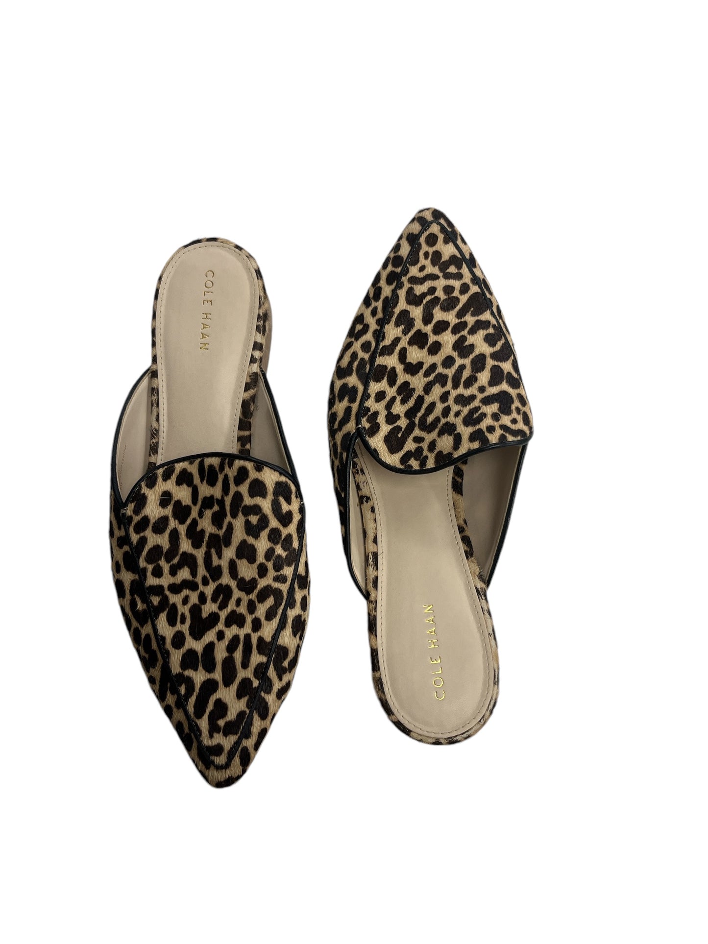 Shoes Designer By Cole-haan In Animal Print, Size: 8.5