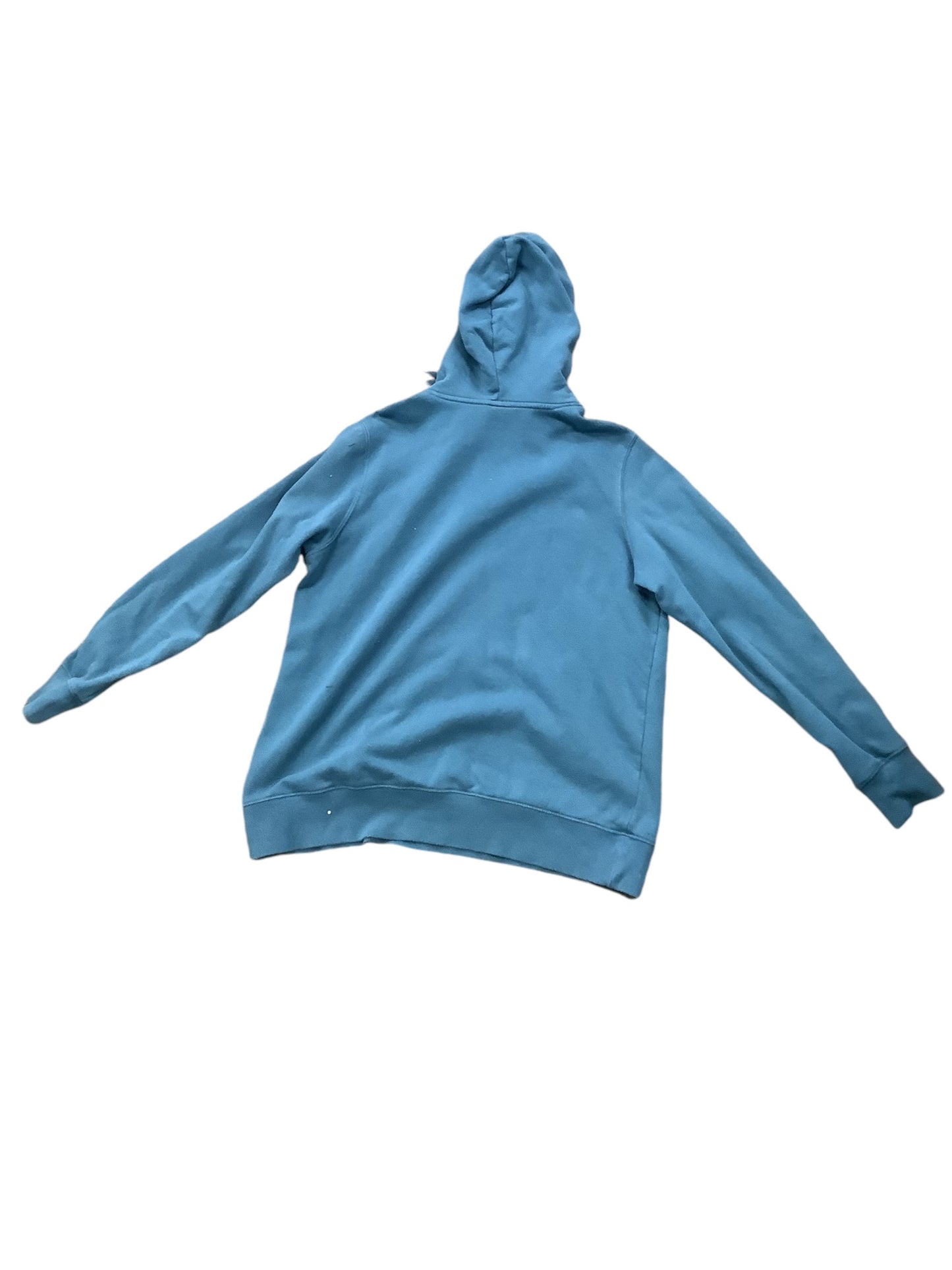 Sweatshirt Hoodie By The North Face In Blue, Size: L